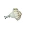 Cast Iron Nautilus Shell Drawer Pull Decorative Cabinet Knob Nautical Set of 6